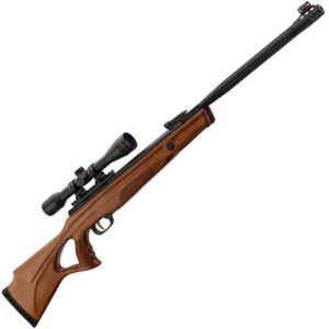 Carabine À Air Comprimé Beeman 10620 + Lunette 6x40