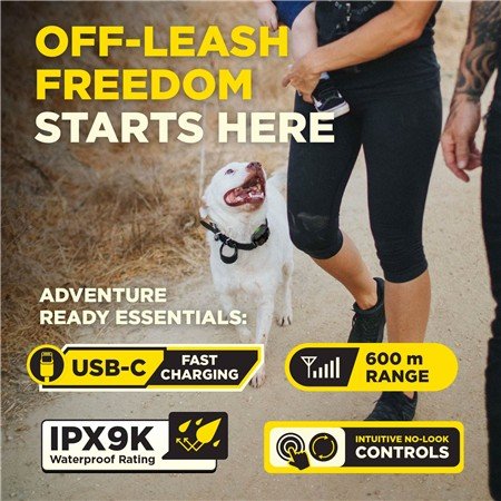 collier de dressage dogtra 600iq kit 2 chiens | armurerie de la gartempe
