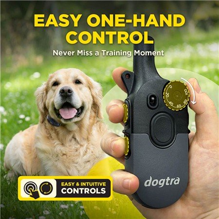 collier de dressage dogtra 600iq kit 2 chiens | armurerie de la gartempe