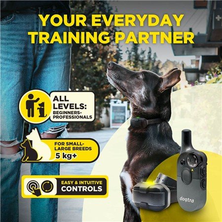 collier de dressage dogtra 600iq kit 2 chiens | armurerie de la gartempe