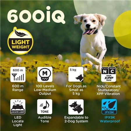 collier de dressage dogtra 600iq kit 2 chiens | armurerie de la gartempe