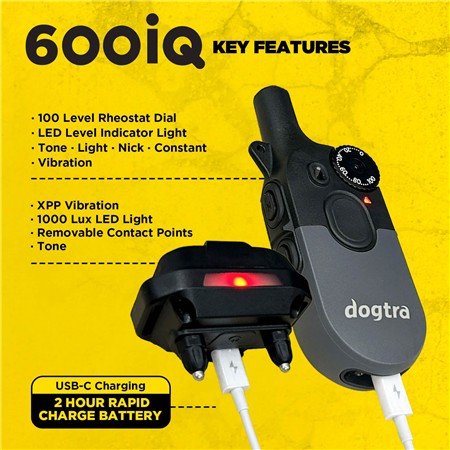 collier de dressage dogtra 600iq kit 2 chiens | armurerie de la gartempe