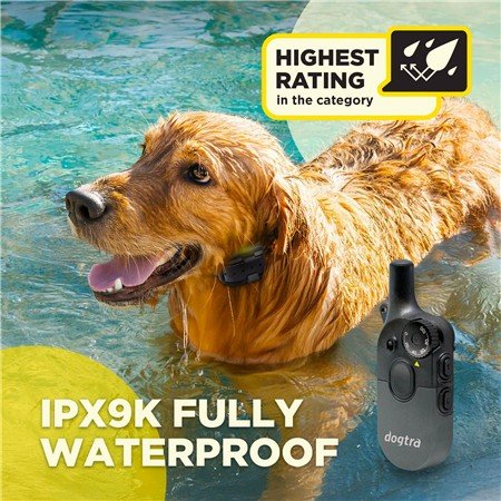collier de dressage dogtra 600iq kit 2 chiens | armurerie de la gartempe