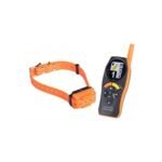 Collier Numaxes Canicom R-500 rechargeable