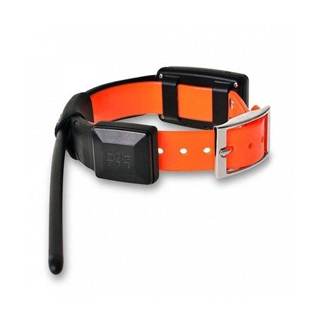 collier de repérage dog trace gps x25 | armurerie de la gartempe