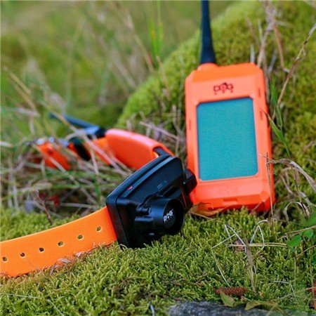 collier de repérage dog trace gps x30 b short télécommande + collier + beeper | armurerie de la gartempe
