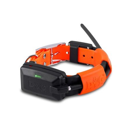collier de repérage et dressage dog trace gps x25 t short télécommande + collier + chargeur + educatif | armurerie de la gartempe