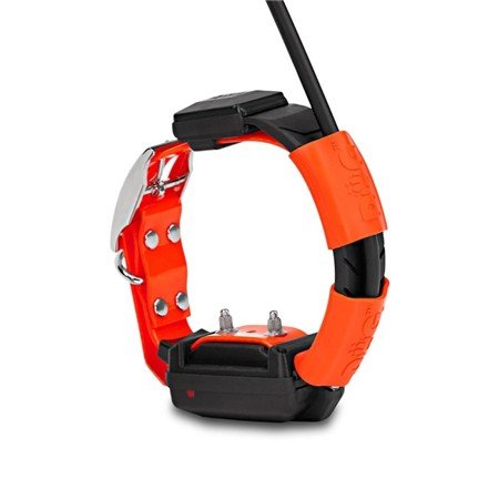 collier de repérage et dressage dog trace gps x25 t short télécommande + collier + chargeur + educatif | armurerie de la gartempe
