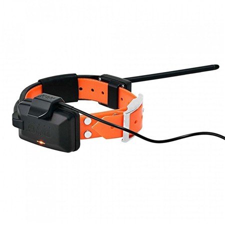 collier de repérage et dressage dog trace gps x25 t short télécommande + collier + chargeur + educatif | armurerie de la gartempe