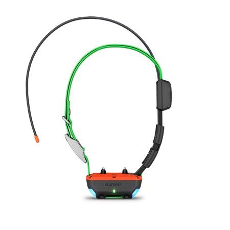 collier garmin supplémentaire de repérage et dressage tt25 f | armurerie de la gartempe