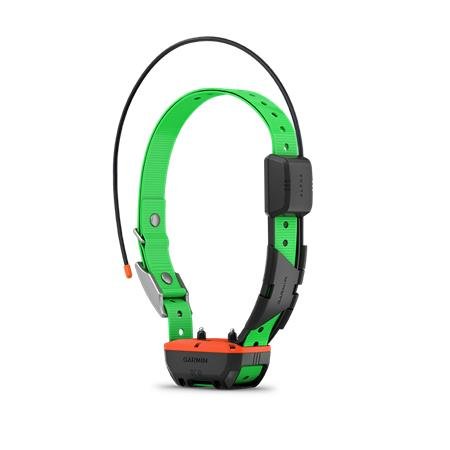 collier garmin supplémentaire de repérage et dressage tt25 f | armurerie de la gartempe