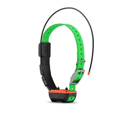 collier garmin supplémentaire de repérage et dressage tt25 f | armurerie de la gartempe
