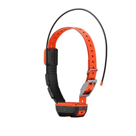 collier garmin supplémentaire de repérage t20 f | armurerie de la gartempe