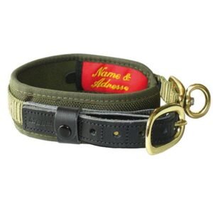 import placeholder for 8951