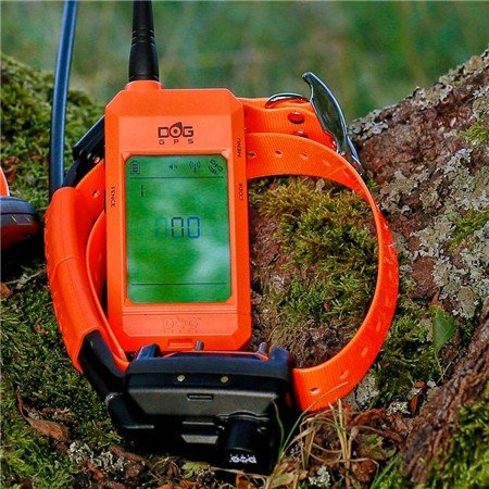 collier supplémentaire de dressage dog trace x30 + beeper | armurerie de la gartempe