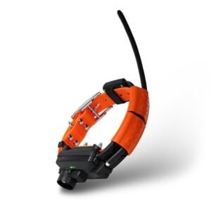 import placeholder for 8919