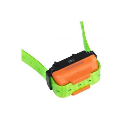 collier supplémentaire de dressage numaxes canicom r | armurerie de la gartempe