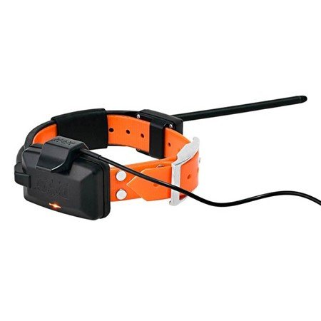 collier supplémentaire de repérage dog trace gps x20 collier + chargeur | armurerie de la gartempe