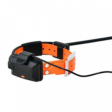 collier supplémentaire de repérage dog trace x30 | armurerie de la gartempe