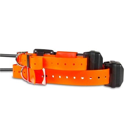 collier supplémentaire de repérage dog trace x30 short | armurerie de la gartempe