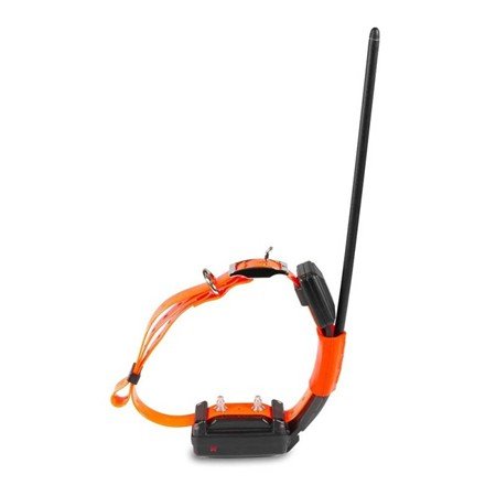 collier supplémentaire de repérage dog trace x30 t short | armurerie de la gartempe