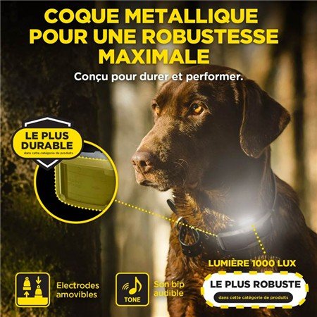 collier supplémentaire dogtra récepteur bleu | armurerie de la gartempe