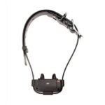 Collier Numaxes Canifugue FUG1034 rechargeable