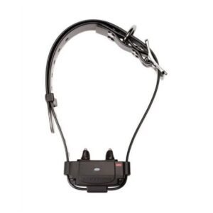Collier Numaxes Canifugue FUG1034 rechargeable