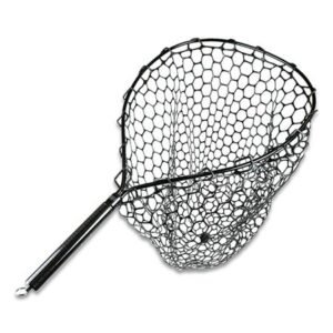 import placeholder for 12969