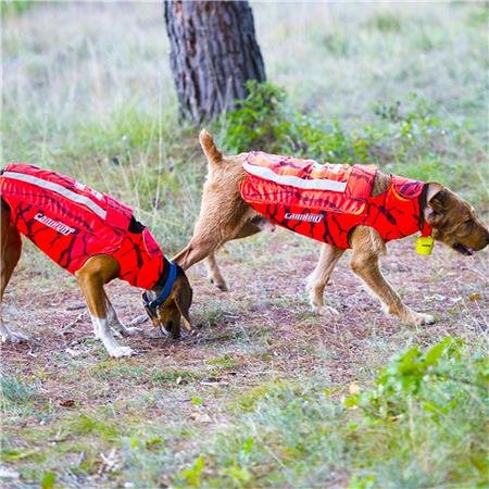 gilet de protection canihunt defender 2.0 | armurerie de la gartempe