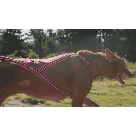 harnais i dog canicross x back gamme one rose | armurerie de la gartempe