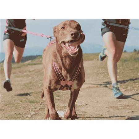 harnais i dog canicross x back gamme one rose | armurerie de la gartempe