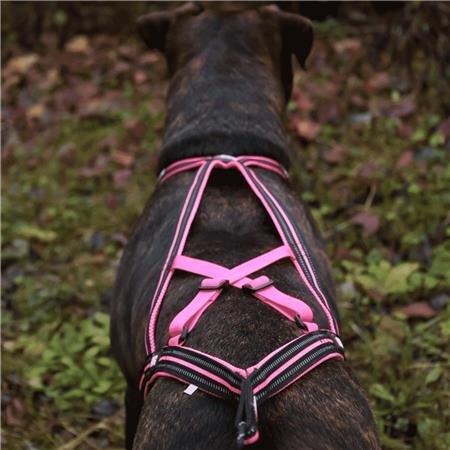harnais i dog canicross x back gamme one rose | armurerie de la gartempe