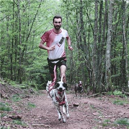 harnais i dog canicross x back gamme one rose | armurerie de la gartempe
