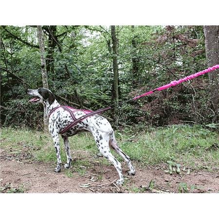 harnais i dog canicross x back gamme one rose | armurerie de la gartempe