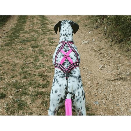 harnais i dog canicross x back gamme one rose | armurerie de la gartempe