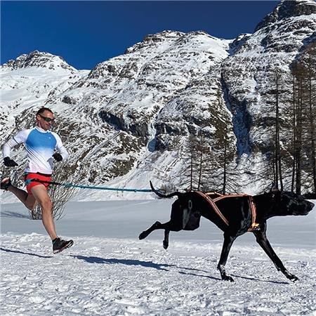 harnais i dog canicross x back one | armurerie de la gartempe