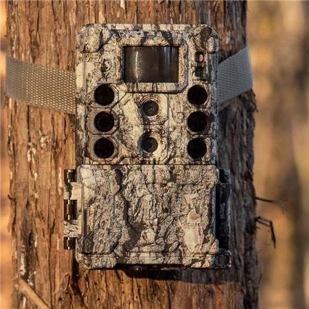 piège photographique bushnell core ds 4k | armurerie de la gartempe