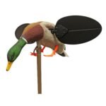 import placeholder for 8631