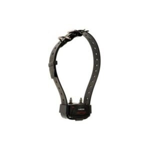 import placeholder for 8875