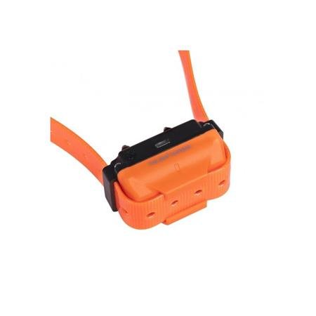collier de dressage numaxes canicom r 800 | armurerie de la gartempe