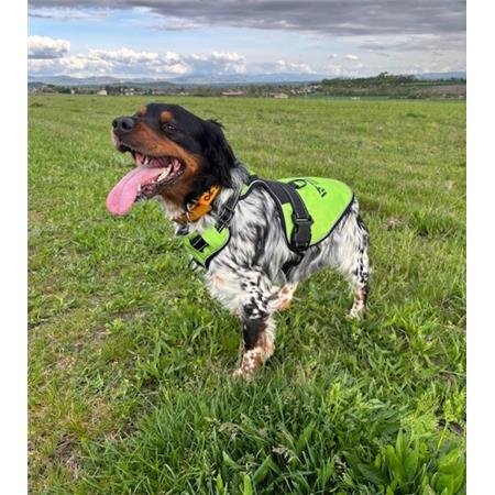 harnais wild tracker x color | armurerie de la gartempe