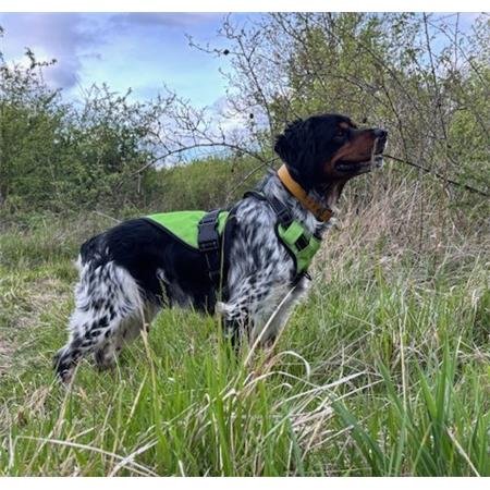 harnais wild tracker x color | armurerie de la gartempe