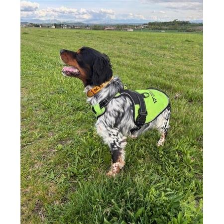 harnais wild tracker x color | armurerie de la gartempe