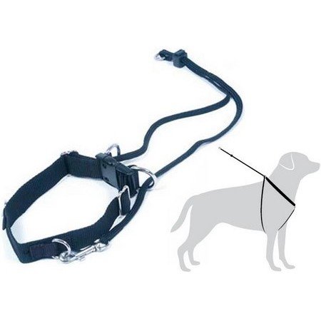 import placeholder for 8955