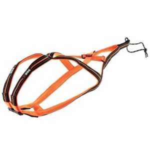 import placeholder for 8956