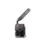 import placeholder for 7986