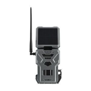 import placeholder for 7984