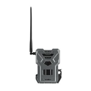 import placeholder for 7981