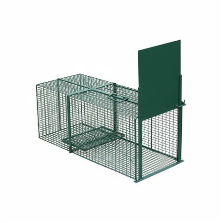 import placeholder for 9311